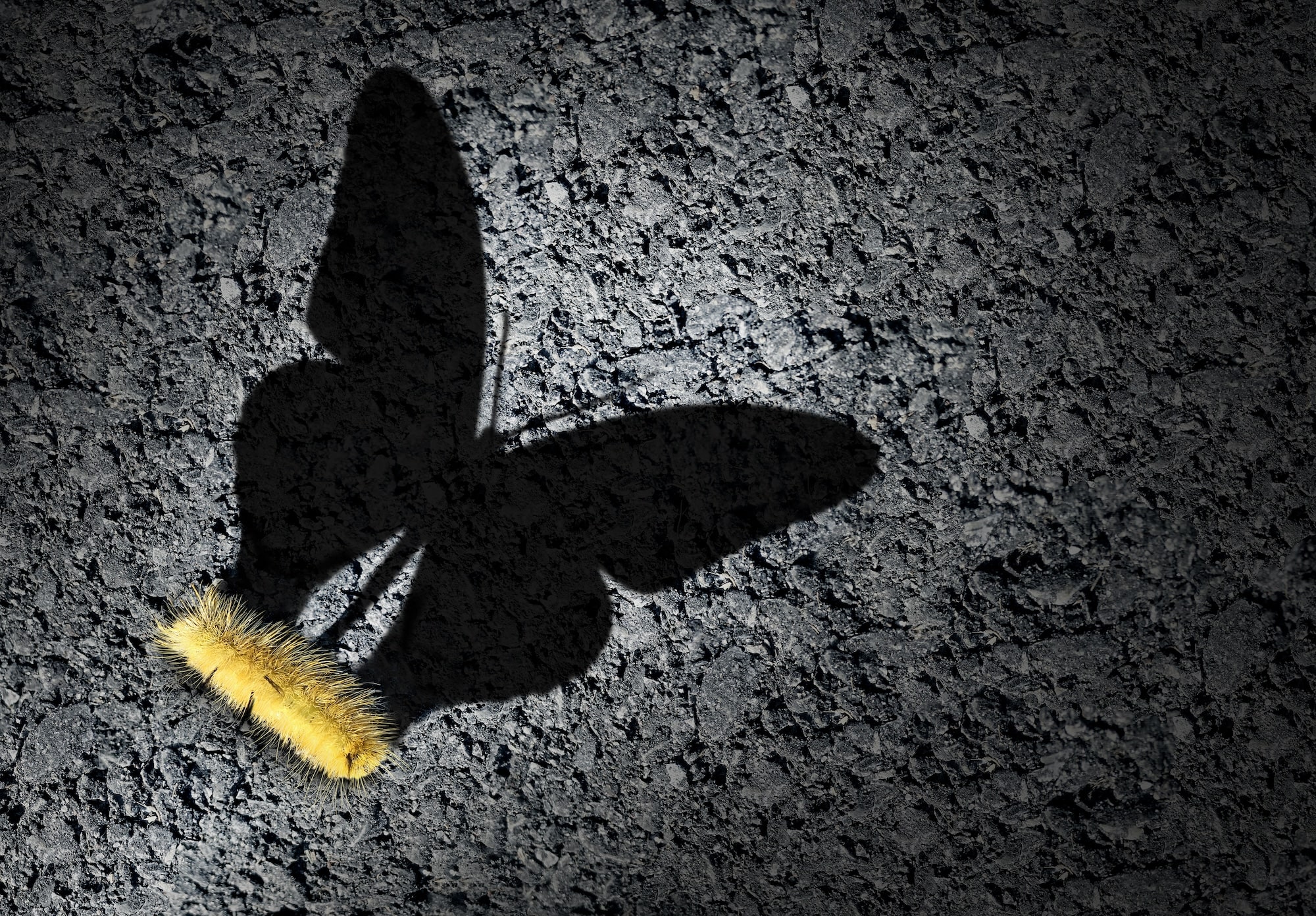 caterpillar becoming a butterfly imagery