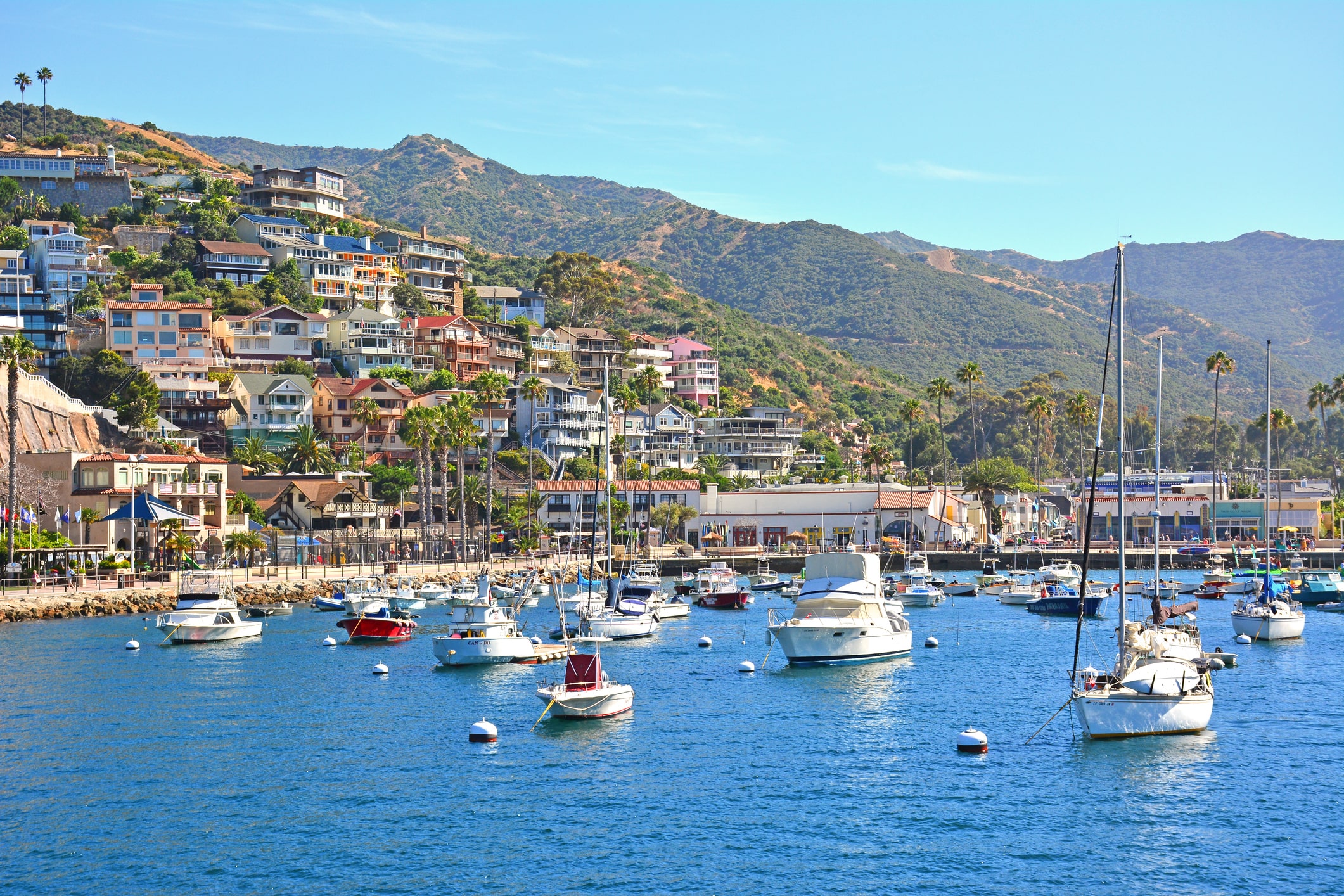 Catalina Island