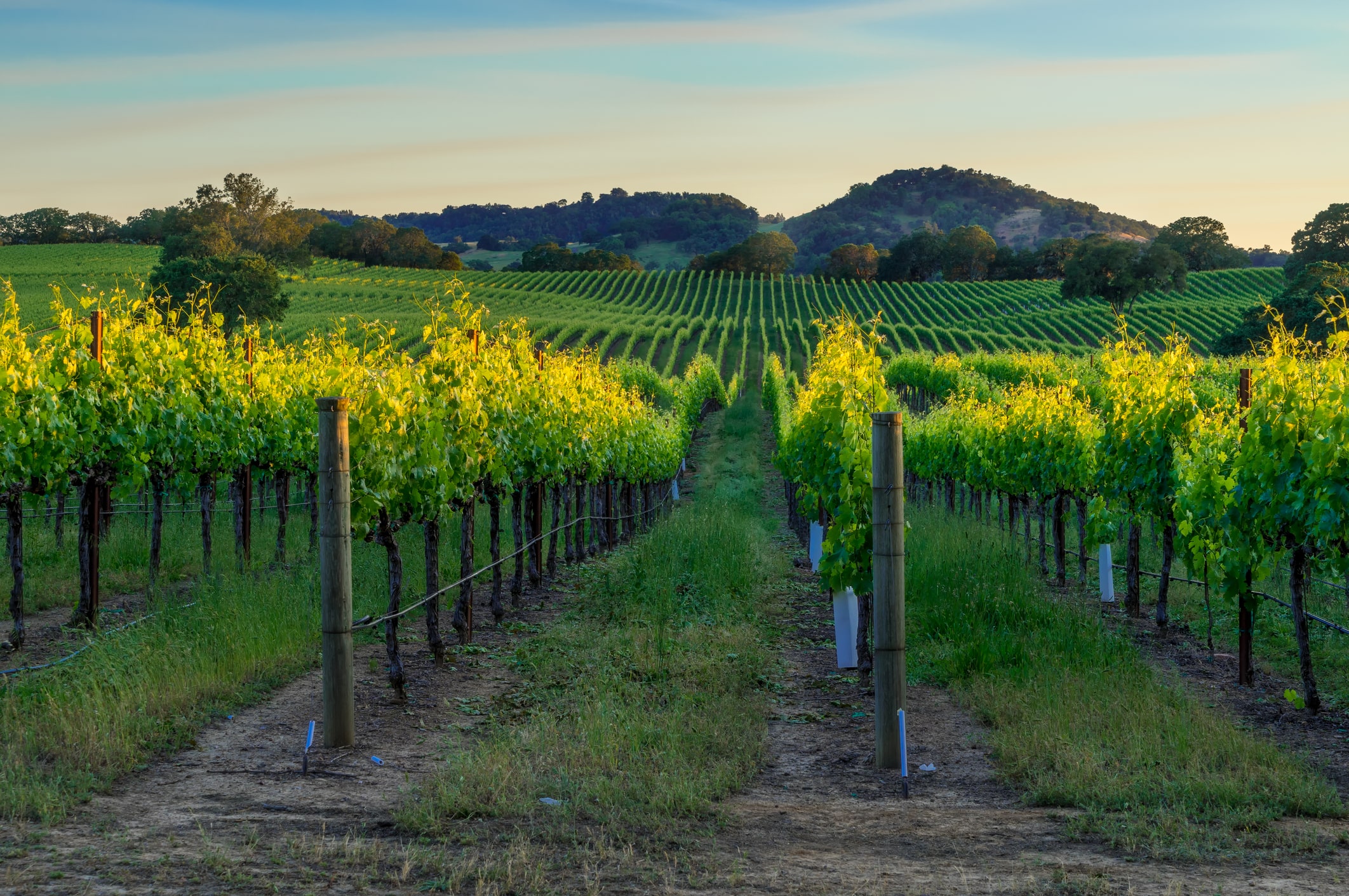 Sonoma, CA